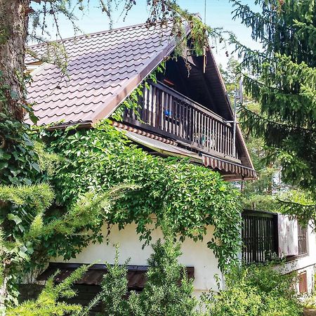 3 Bedroom Stunning Home In Dziemiany Exterior foto